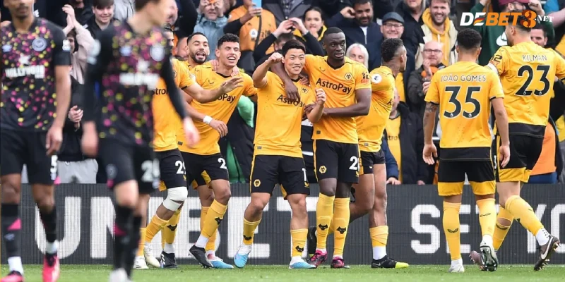 Lịch sử thi đấu của đội Wolves